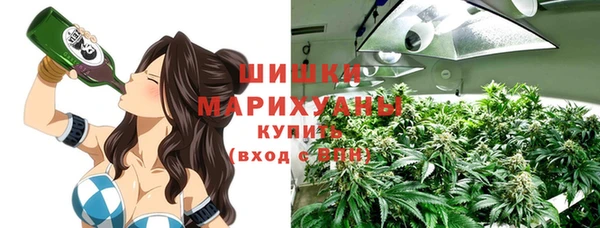 ГАЛЛЮЦИНОГЕННЫЕ ГРИБЫ Белоозёрский
