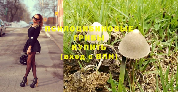 ГАЛЛЮЦИНОГЕННЫЕ ГРИБЫ Белоозёрский
